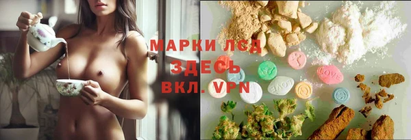 прущие крисы Алзамай
