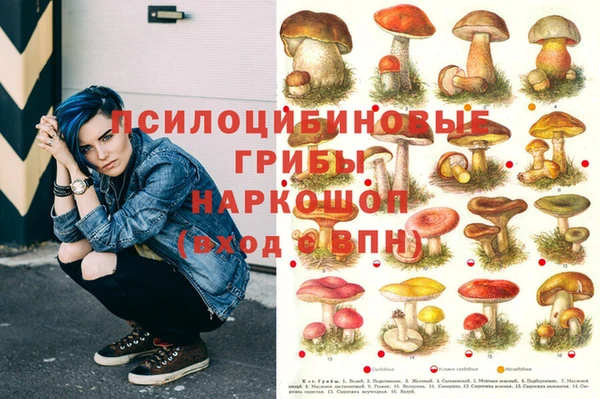 соль курить ск Алексин