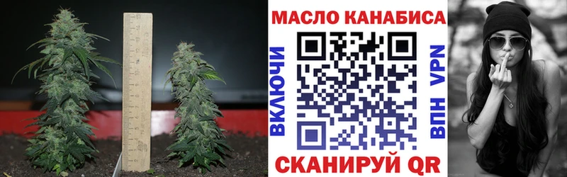 Дистиллят ТГК вейп  ОМГ ОМГ рабочий сайт  Гаврилов Посад 