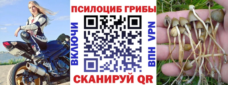 Псилоцибиновые грибы мицелий  Гаврилов Посад 